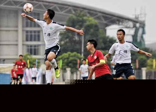 周六意甲焦点战：维罗纳迎战亚特兰大，保级压力与欧战野心的激烈碰撞！