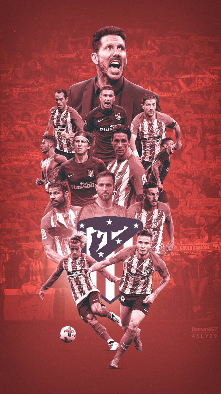 CBA各队外援注册情况：19支球队进行注册，仅四川男篮未注册